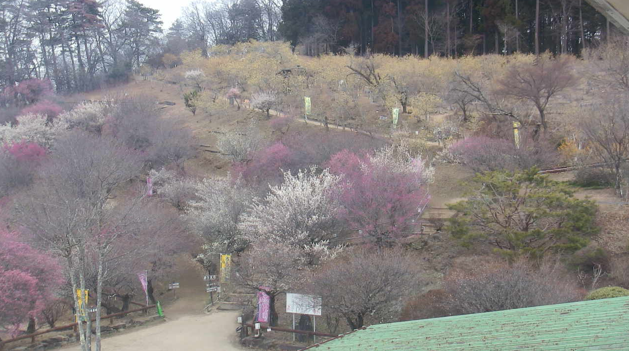 Hodosan Ropeway