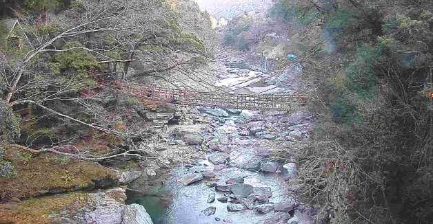 Iya Kazura Bridge