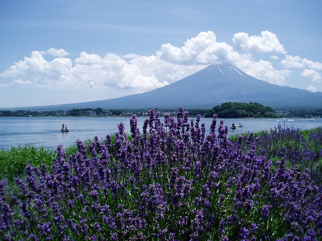 Lake Kawaguchi Mount Fuji