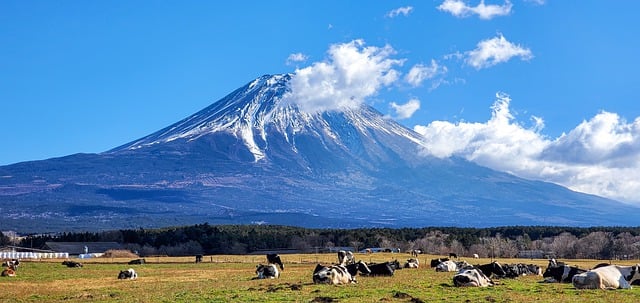 Mt. Fuji Asagirikogen