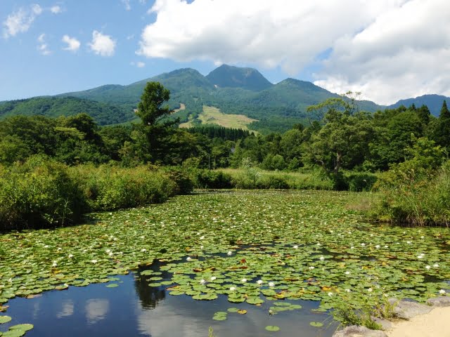 Myoko Plateau, Niigata Prefecture