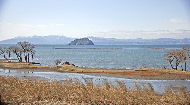 Waterbirds in Lake Biwa